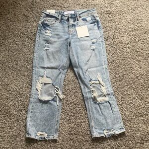 Lovervet by Vervet Distressed Light Blue Cropped Jeans